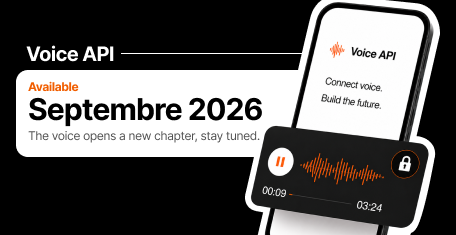 Decorative small banner Voice API 