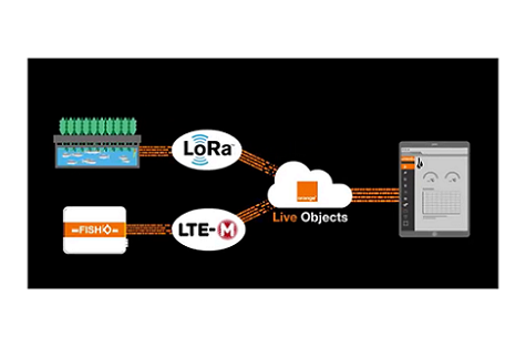 Schéma fonctionnement des objets connectés LoRa et LTE-M