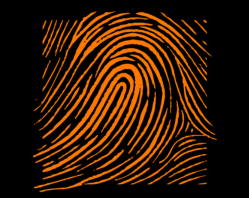 OOT 2026 logo