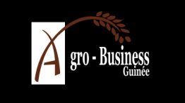 Agro - Business
