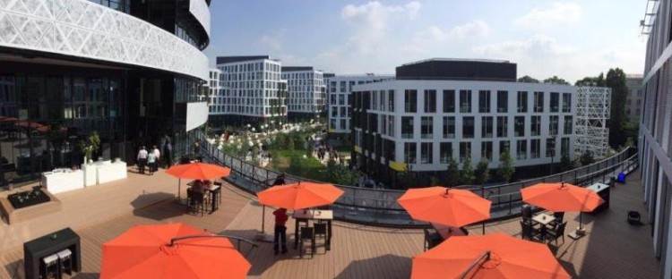 Orange Gardens